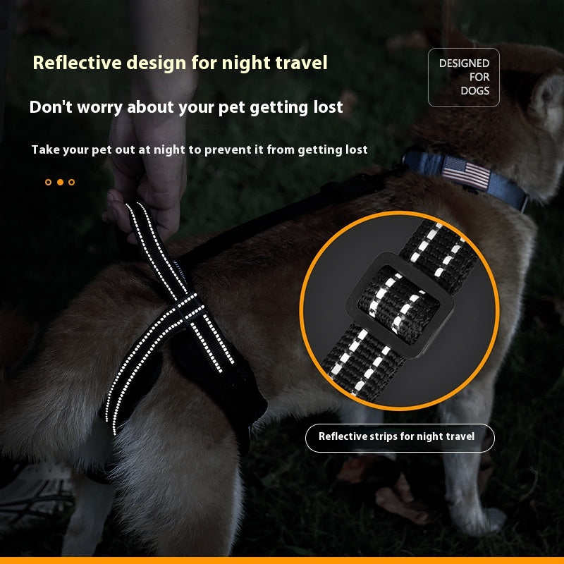 Reha-Gurt für Hinterbeine (Hund) – Bild 2 | LuxeStyle