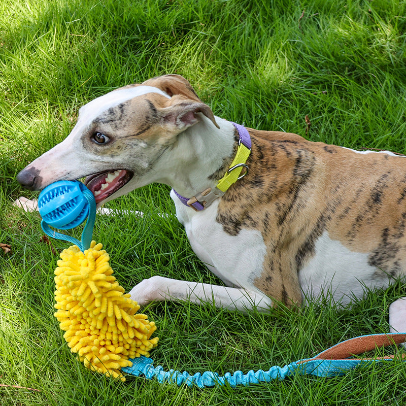 Kau-Spielzeug für Hunde und Katzen