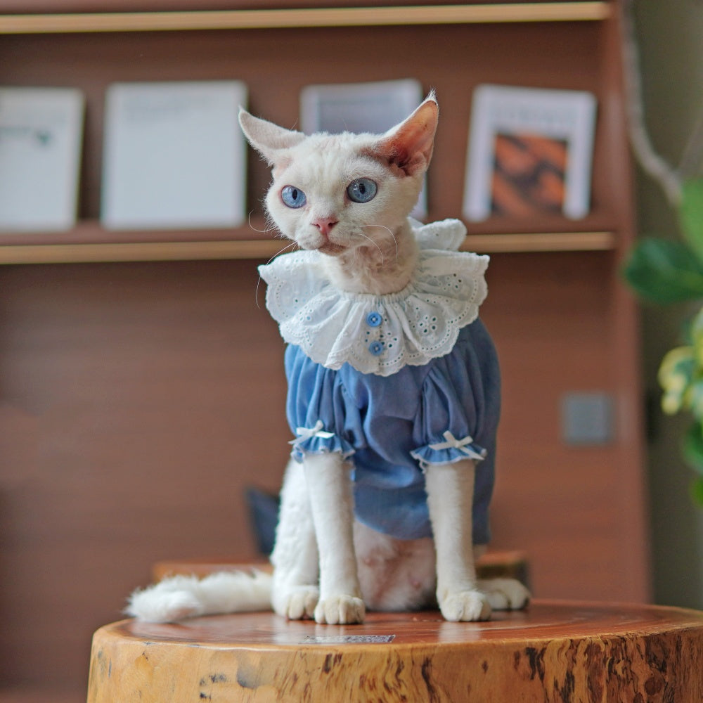 Sommerkleid für Sphynx-Katzen
