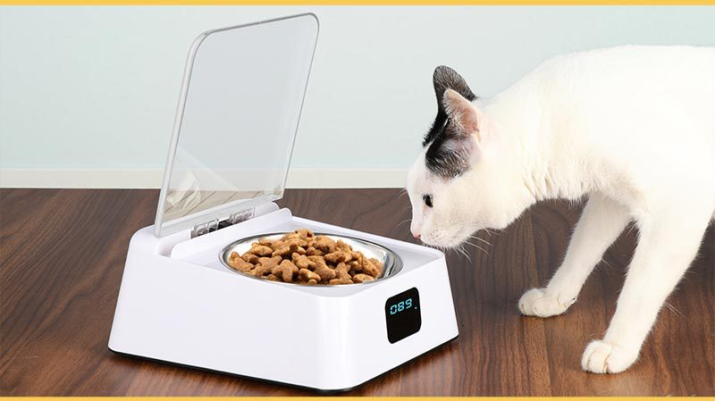 Futterautomat für Katzen und Hunde | LuxeStyle