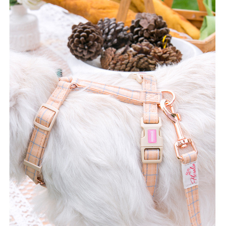 Hundegeschirr, Halsband oder Leine im Gittermuster – Bild 11 | LuxeStyle