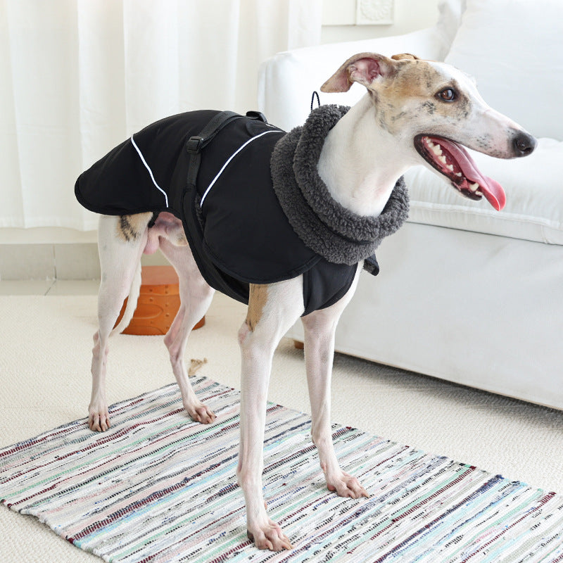 Wärmende Hundekleidung für Herbst und Winter