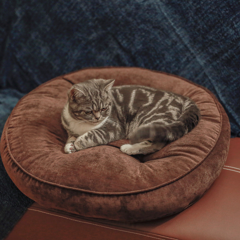 Dickes Futon-Haustierkissen für Meditation