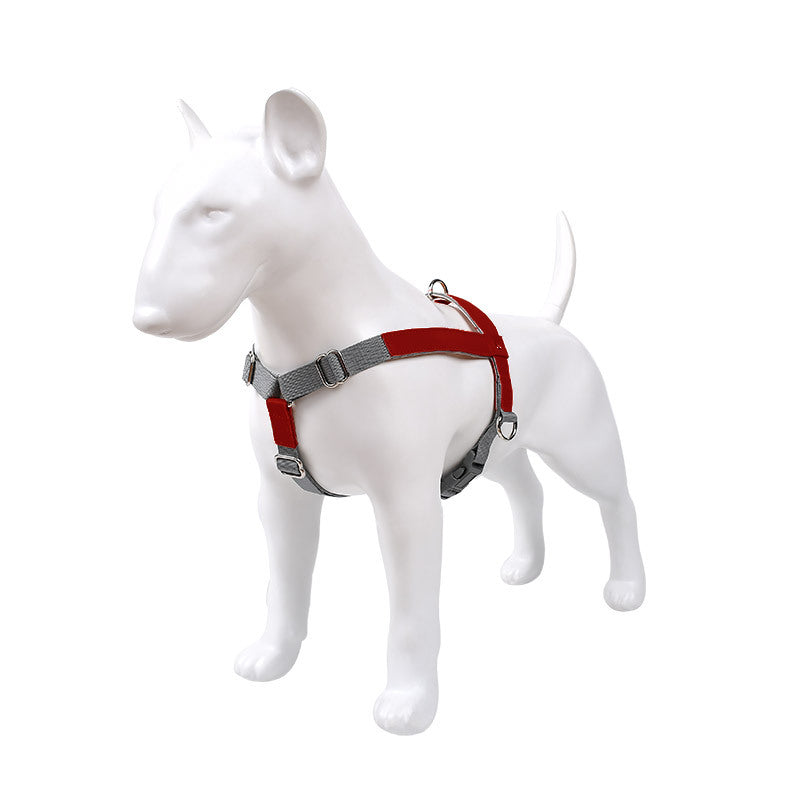 Hundegeschirr aus Leder mit Nylonleine – Bild 3 | LuxeStyle