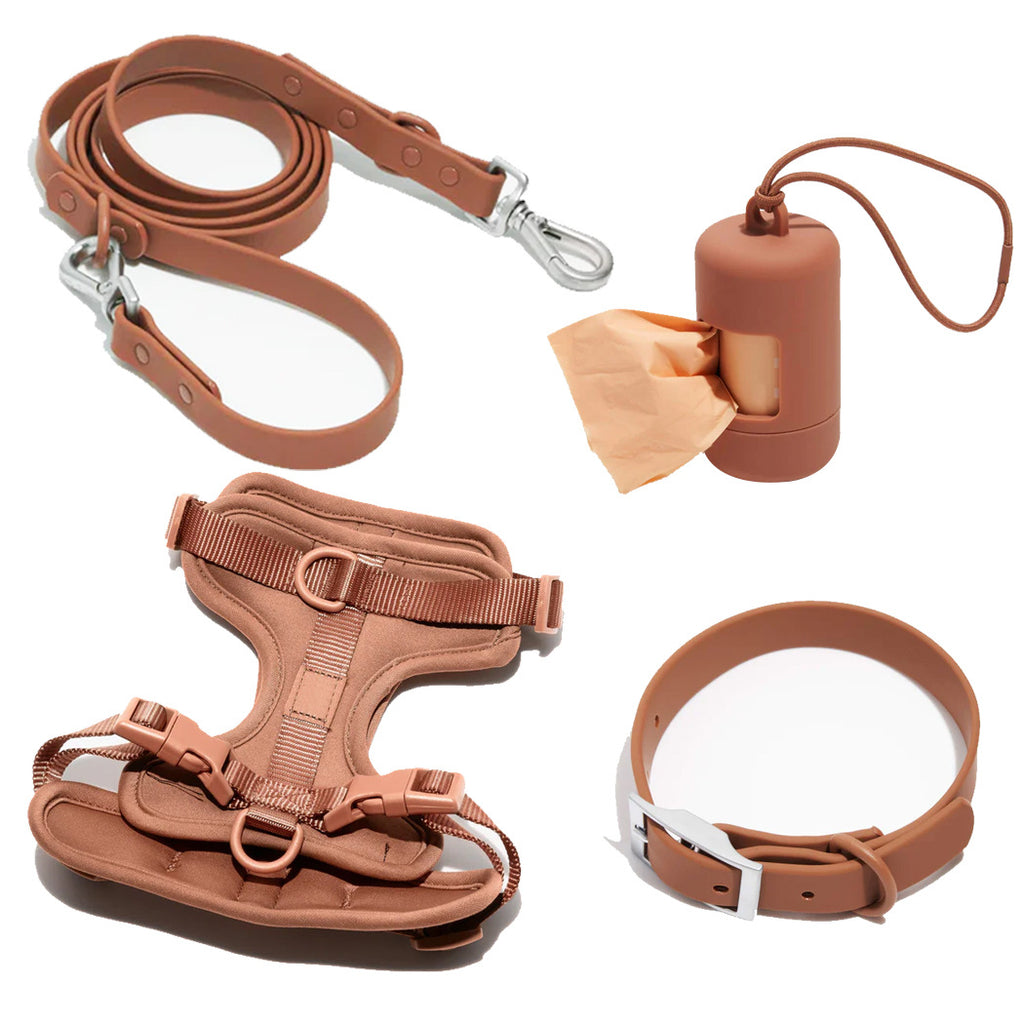 Haustier-Halsbandset mit Leine – Bild 6 | LuxeStyle