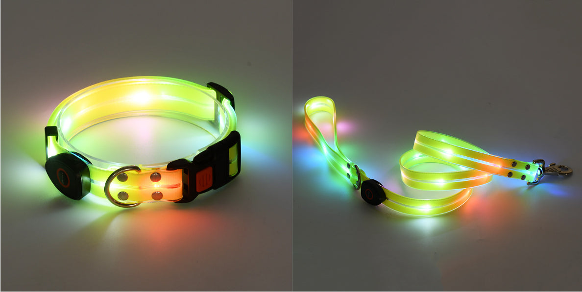 LED Leuchtcollar mit Zugleine, wiederaufladbar – Bild 10 | LuxeStyle