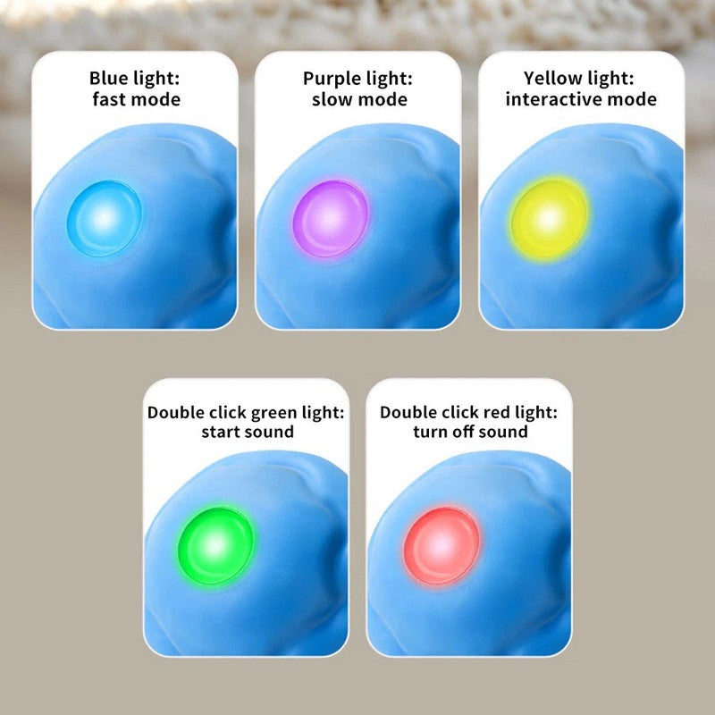Chase Buddy Spielball mit Seilen