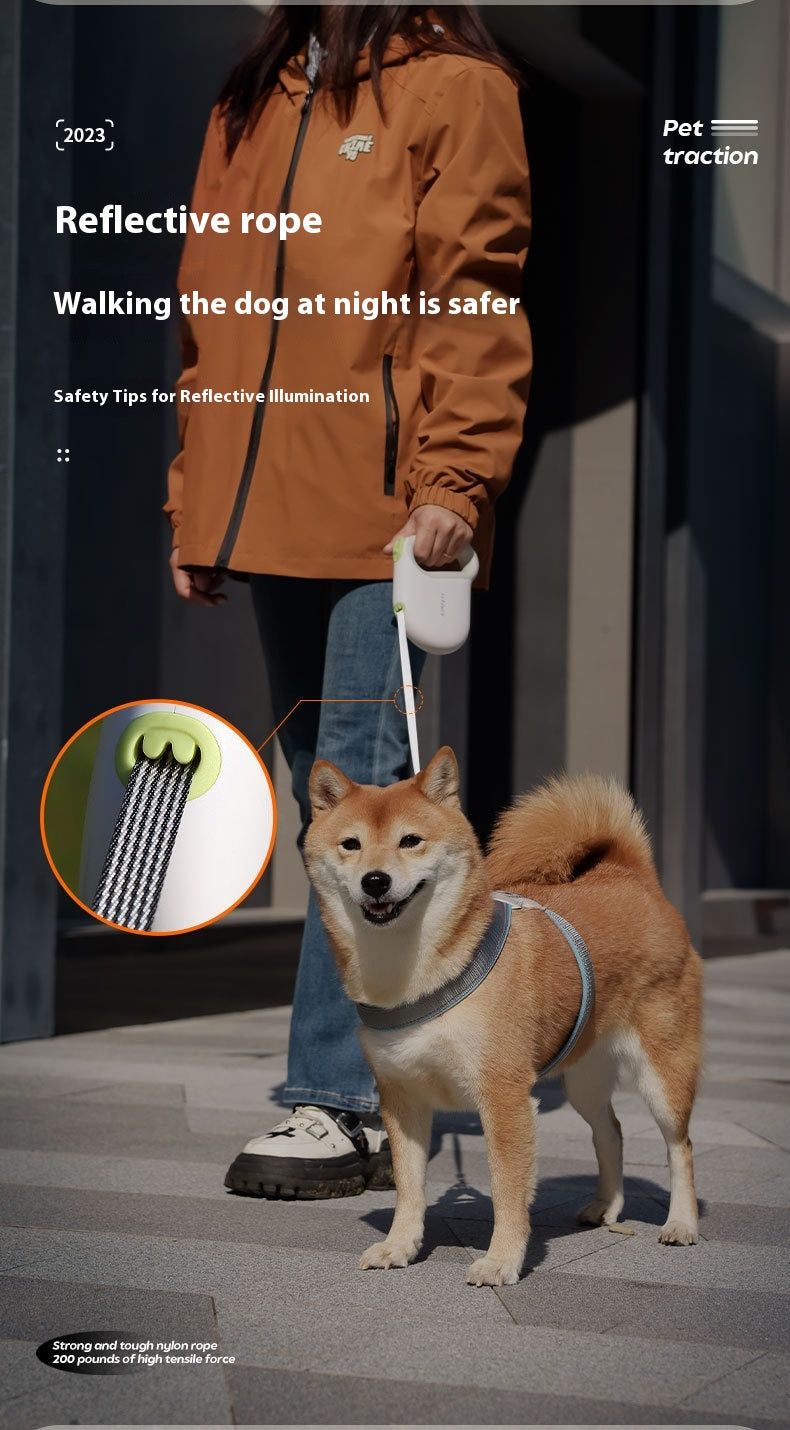 Sicherheitsleine für Hunde – Bild 5 | LuxeStyle