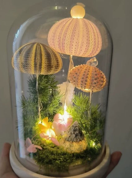 Nachtlicht Seeigel-Muschel – Bild 5 | LuxeStyle