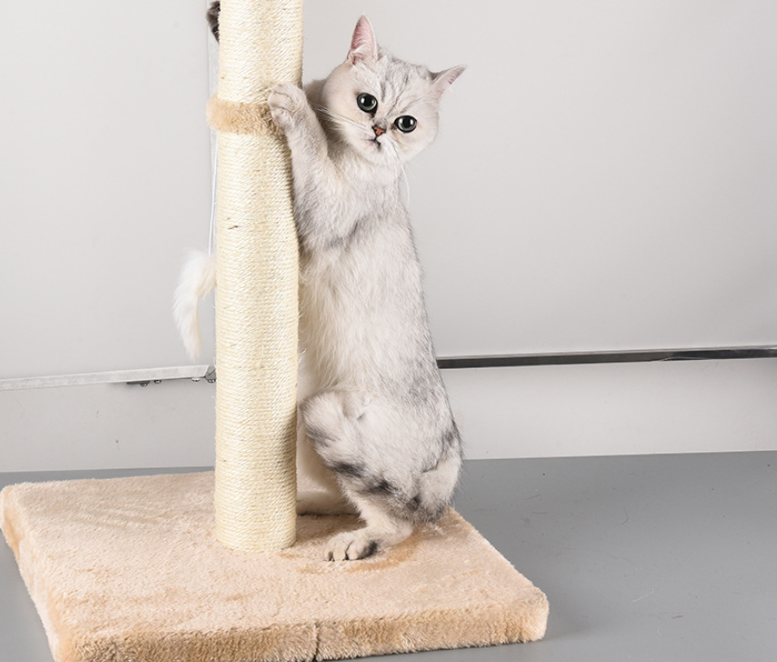Sisal Kratzbaum für Katzen