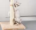 Sisal Kratzbaum für Katzen