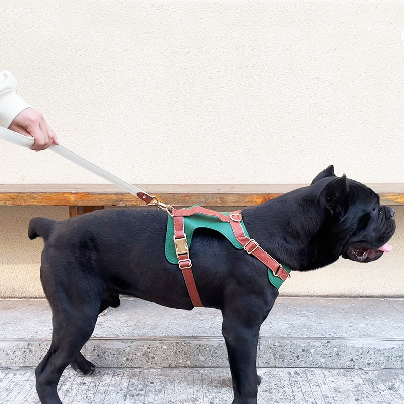 Luxus-Leder-Hundeharnisch und Leine