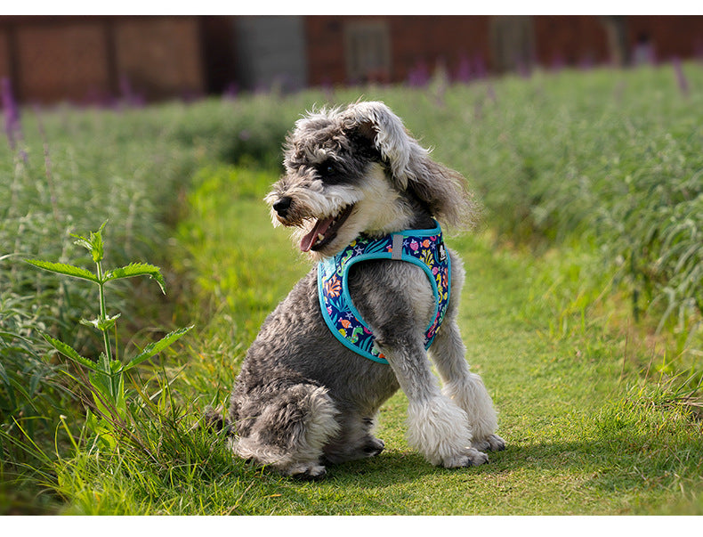 Hunde-Brustgeschirr mit Leine, atmungsaktiv – Bild 12 | LuxeStyle