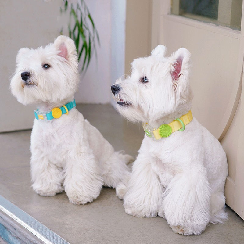 Hundehalsband und Leine – Bild 11 | LuxeStyle