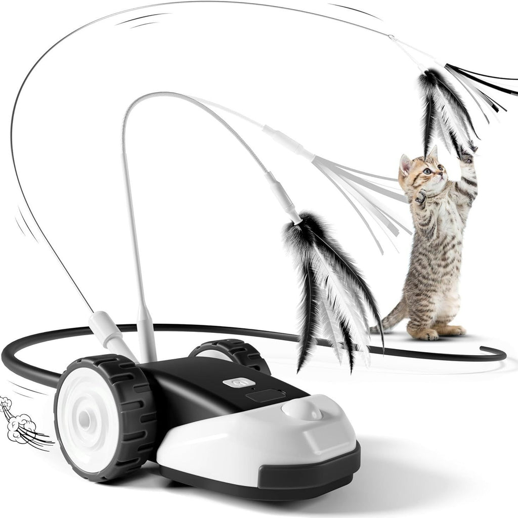 Elektrisches Katzenspielzeug