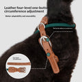 Katzengeschirr-Set "Striding And Leaping"