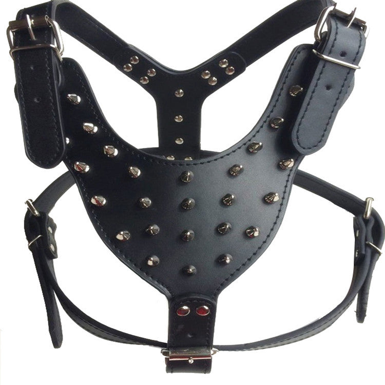 Hundegeschirr mit Nieten – Bild 6 | LuxeStyle