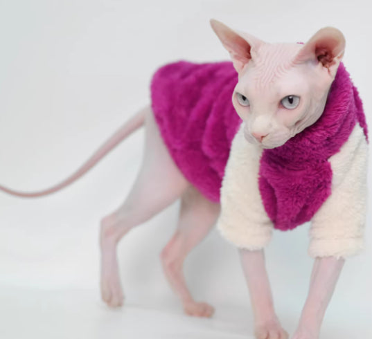 Katzenpullover aus Polyester – Herbst/Winter | LuxeStyle