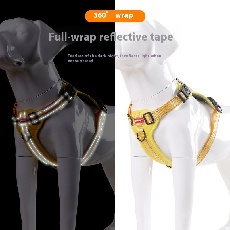 Hunde-Halsband mit Zugleinen