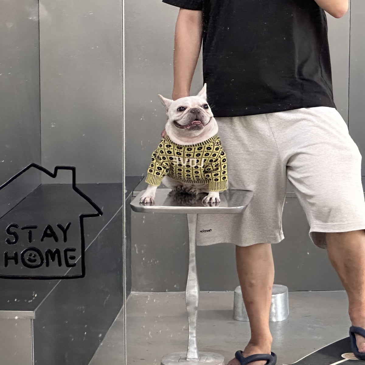 Winterpullover für Hund & Katze – Bild 8 | LuxeStyle