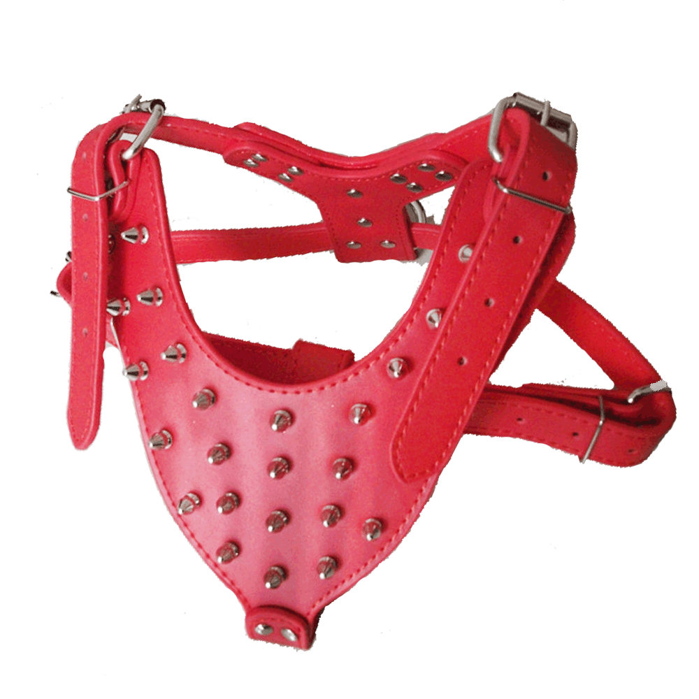 Hundegeschirr mit Nieten – Bild 2 | LuxeStyle