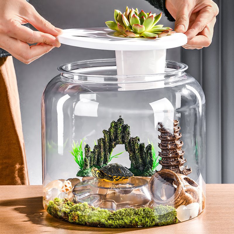 Pflanzkübel für Fische und Schildkröten