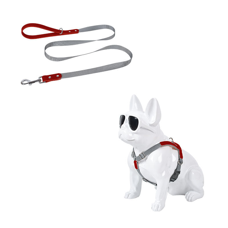 Hundegeschirr aus Leder mit Nylonleine – Bild 9 | LuxeStyle