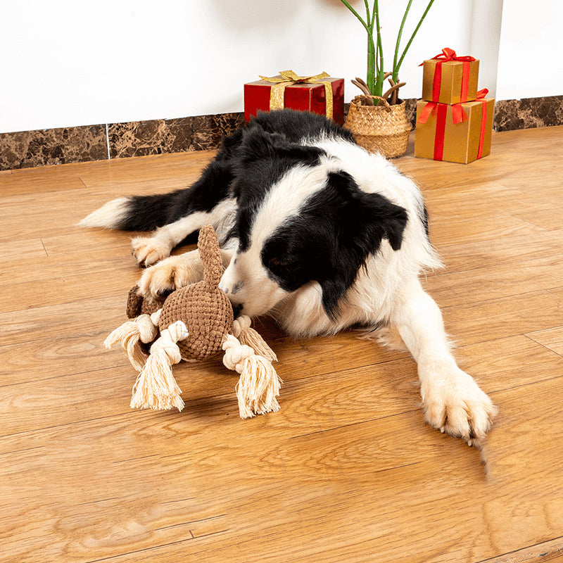 Muschel-Hundespielzeug mit Soundeffekt