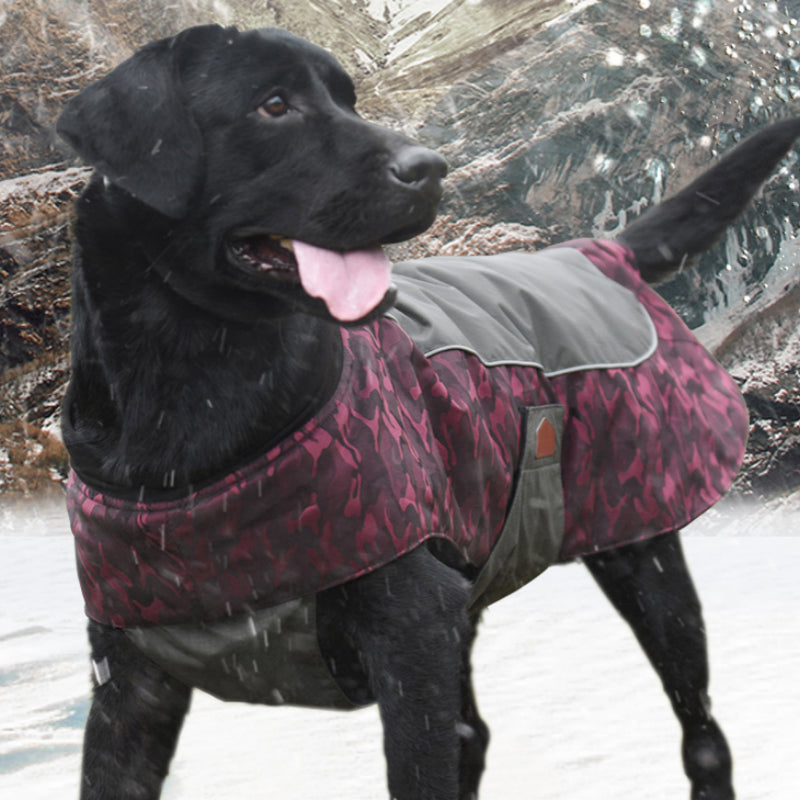 Winterjacke für Hunde