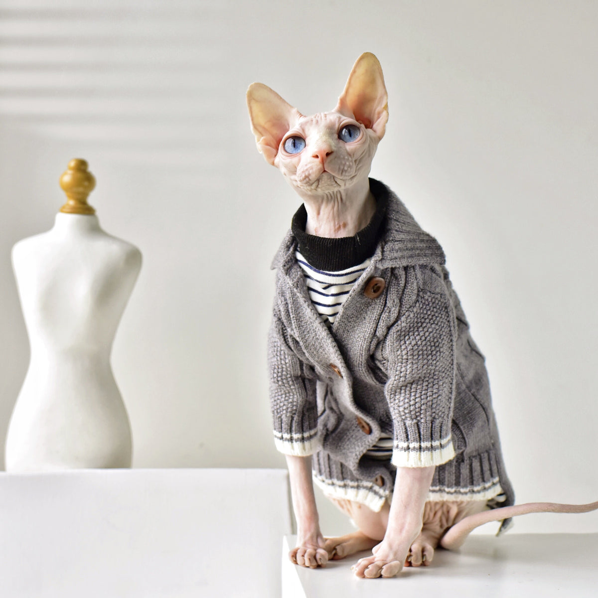 Vier Jahreszeiten Cardigan für haarlose Katzen – Bild 5 | LuxeStyle
