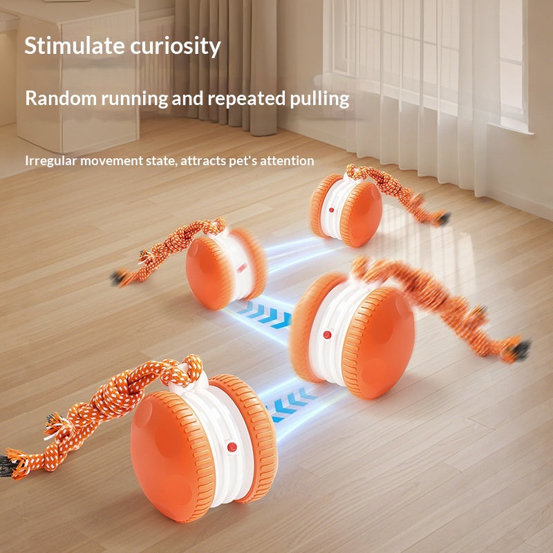 Interaktiver Rollball für Haustiere – Ref. CJ-2512260741571639900