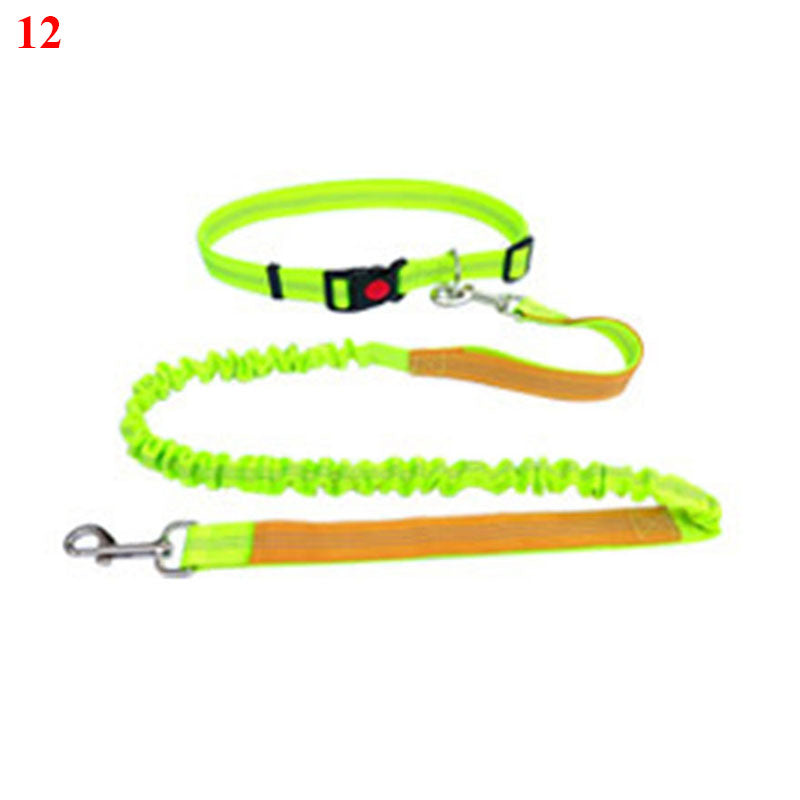 Elastische Laufleine für Hunde – Bild 11 | LuxeStyle