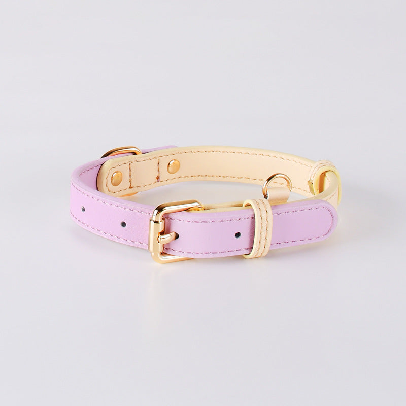 Lederhalsband für kleine bis mittelgrosse Hunde