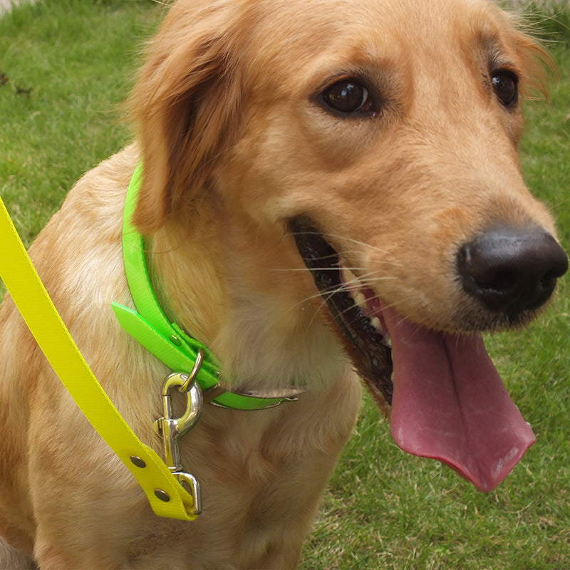 Schmutzabweisendes TPU Hundehalsband – Bild 4 | LuxeStyle