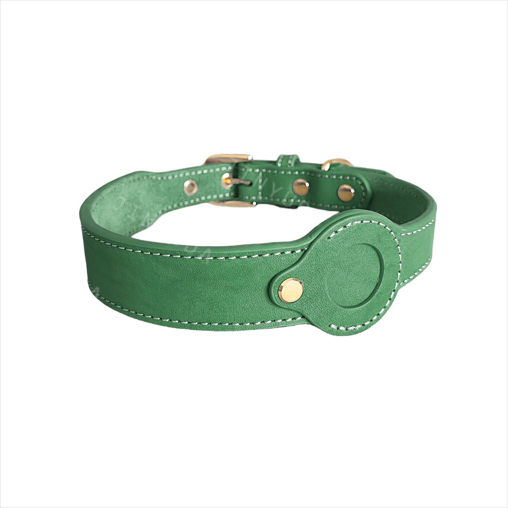 Abnehmbares Lederhalsband für Hunde
