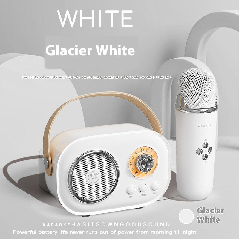 Portables Bluetooth Audio mit kabellosem Mikrofon