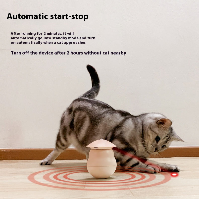 Laser-Spielzeug für Katzen