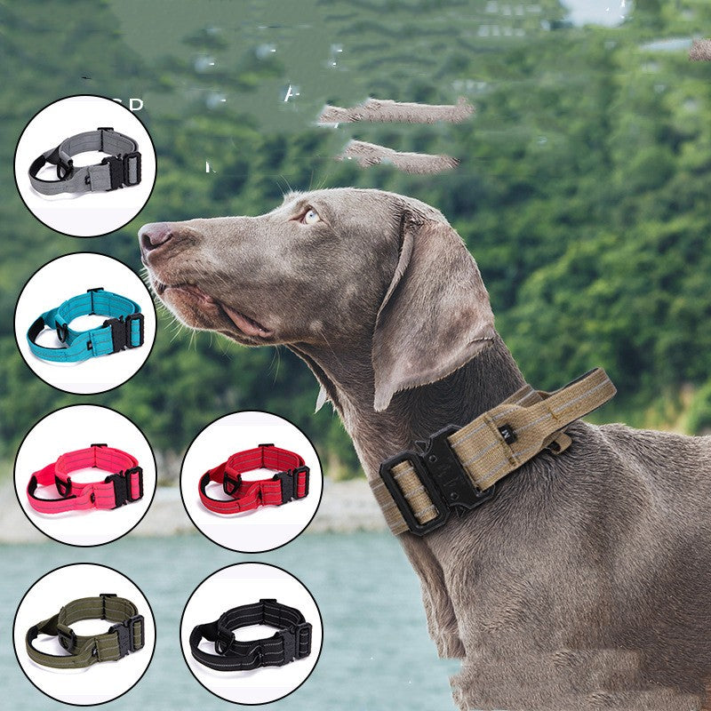 Reflektierendes Hunde-Halsband mit Schnellverschluss – Bild 1 | LuxeStyle