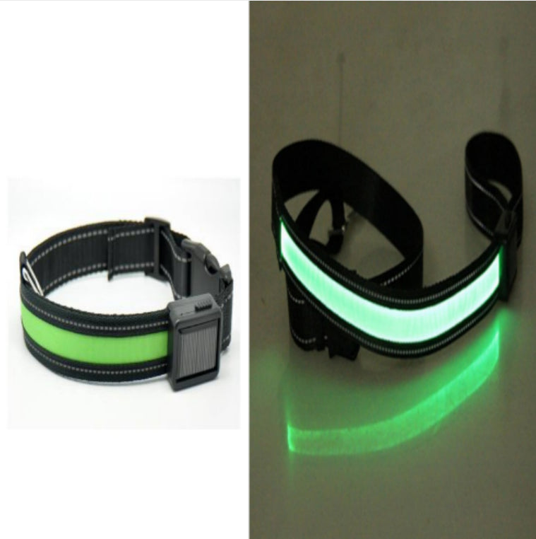 Leuchtendes Hundehalsband mit Solar- und USB-Ladefunktion – Bild 14 | LuxeStyle