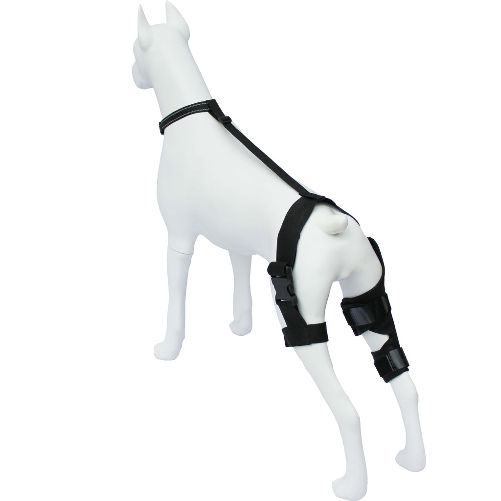 Kniebandage für Hunde