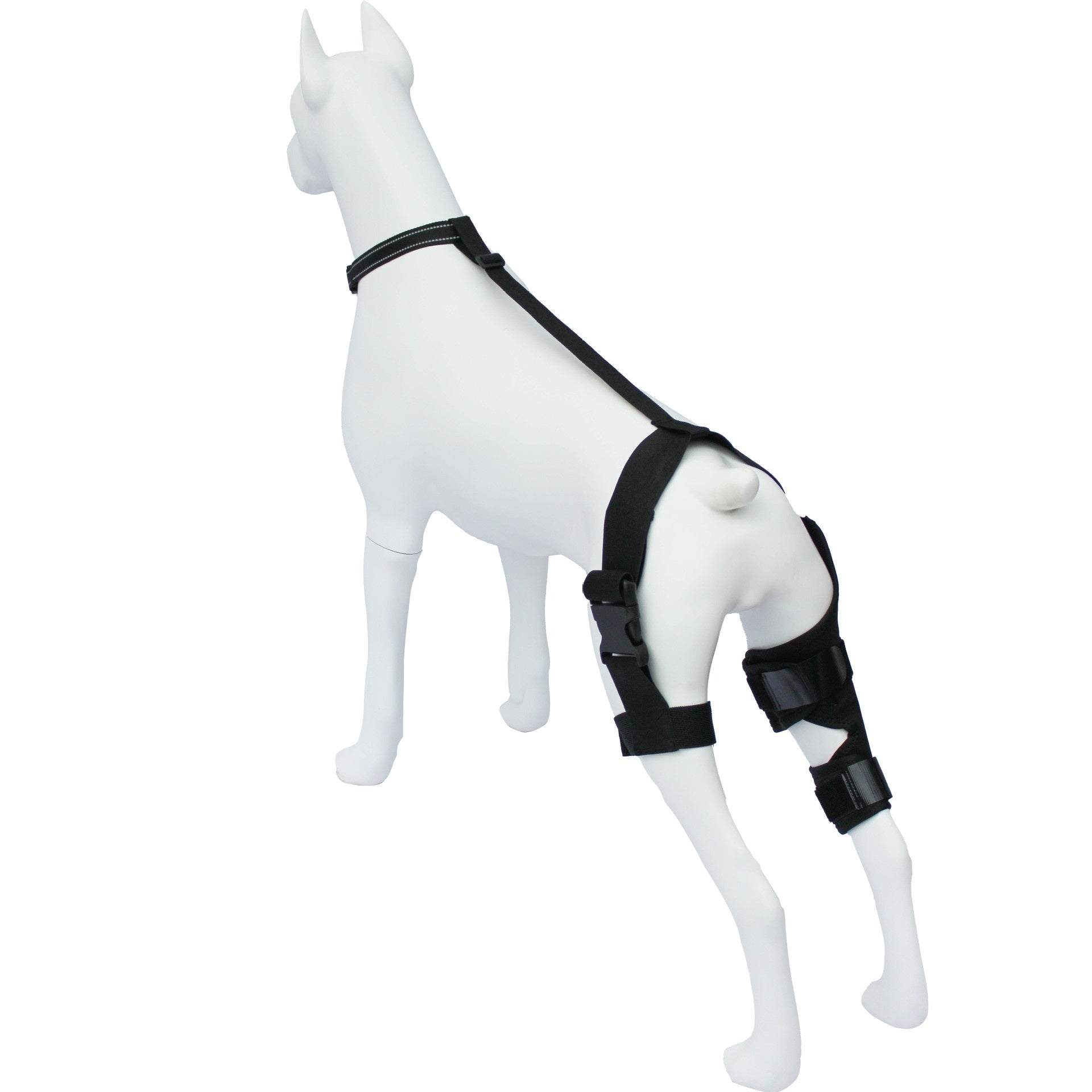 Kniebandage für Hunde