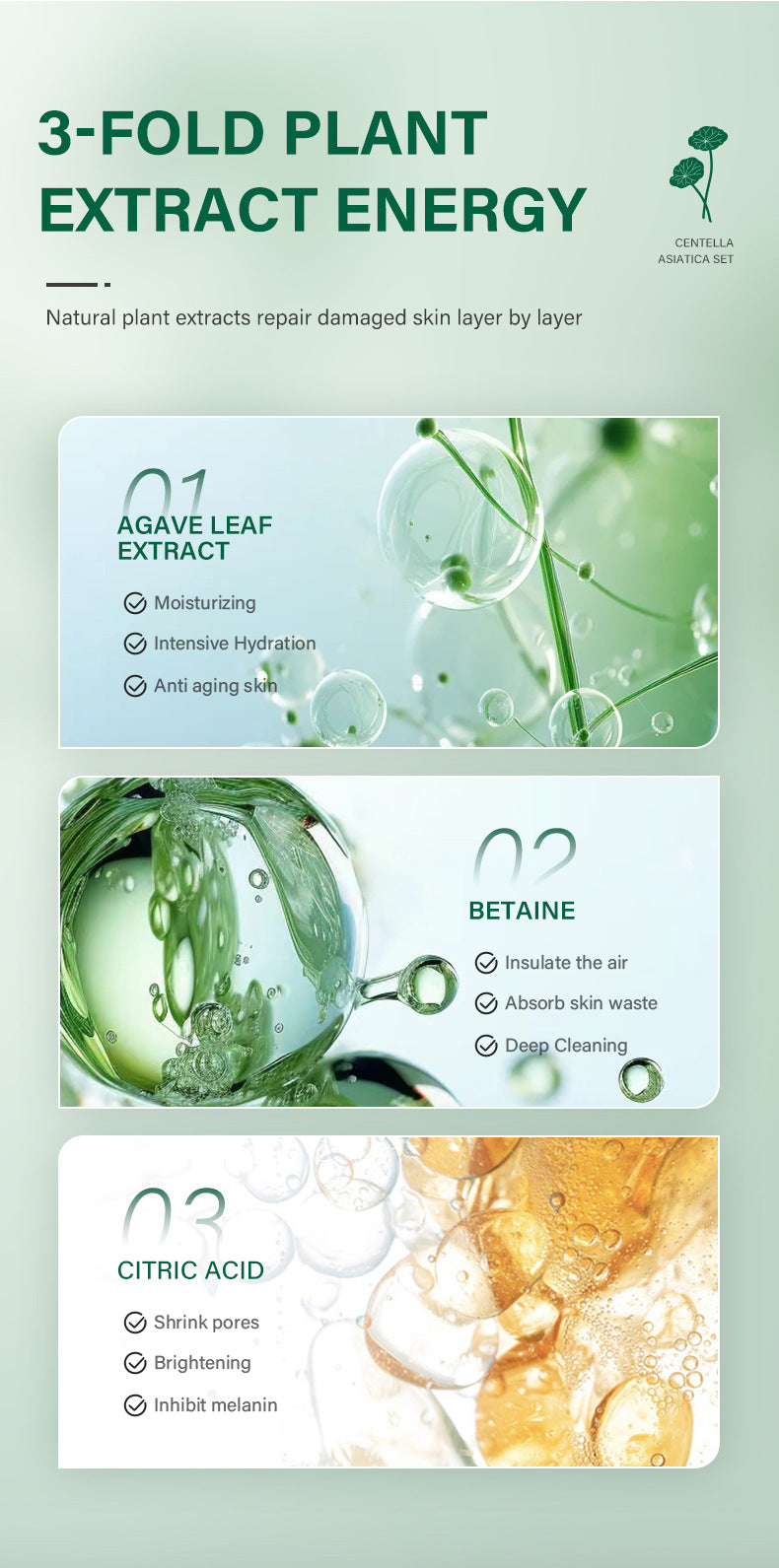 Snow Grass Gesichts‑Pflegeset – Bild 15 | LuxeStyle