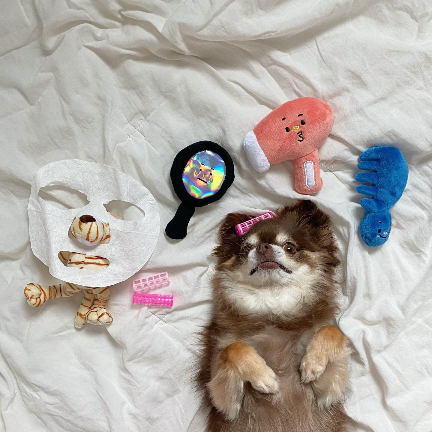 Hundespielzeug-Set