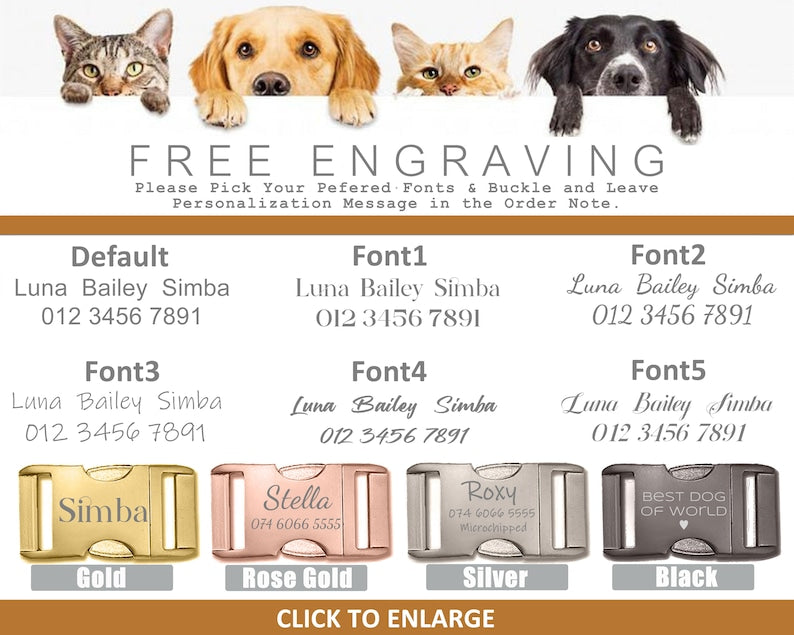 Samtiges Hundehalsband-Set mit Leine und Schleife – Bild 7 | LuxeStyle
