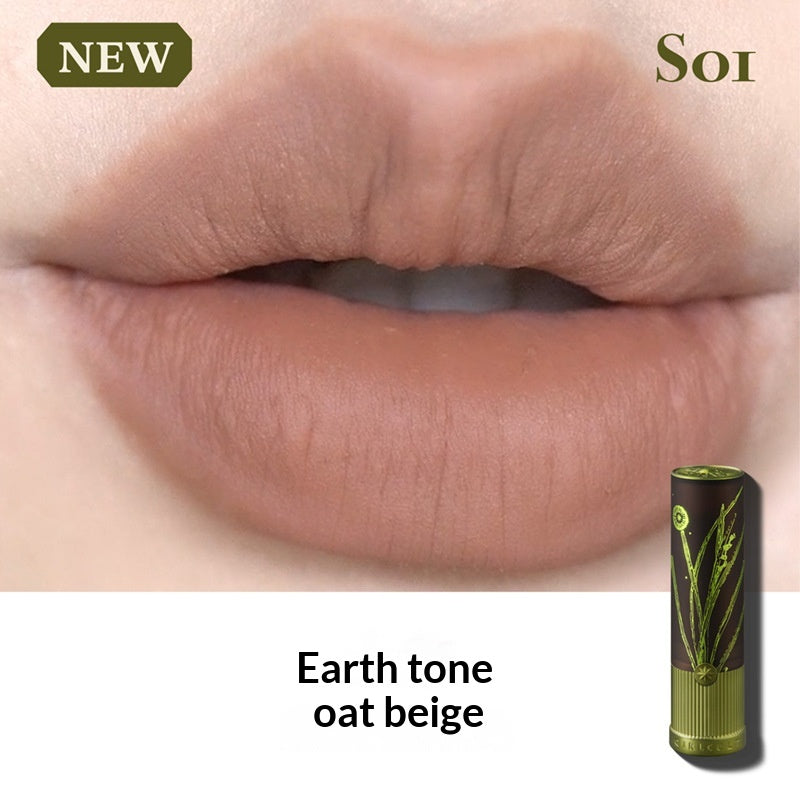 Matte Naturbraun Lippenstift für helle Haut