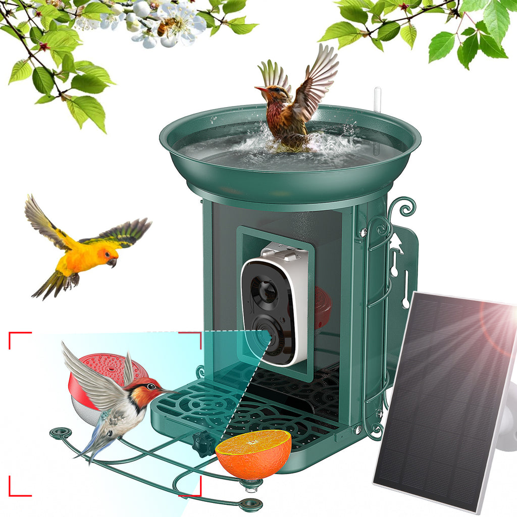Intelligente Vogel-Futterstelle mit Solar