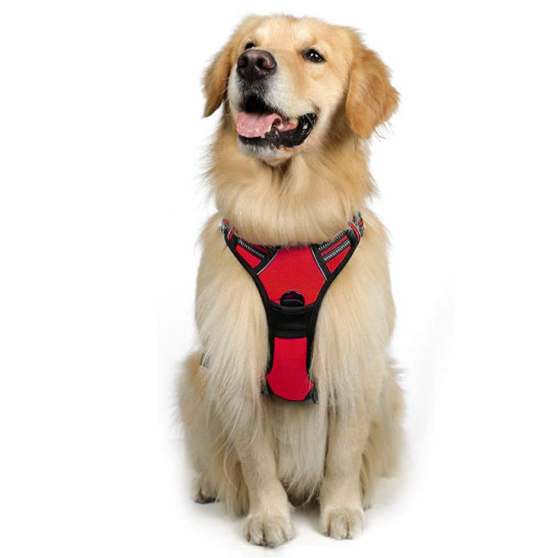 Hundegeschirr mit Leine für grosse Hunde | LuxeStyle
