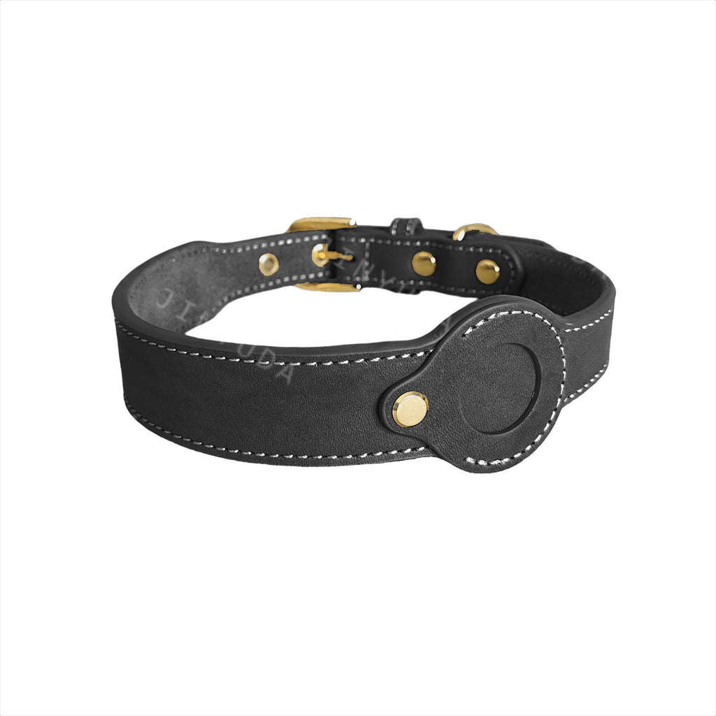 Abnehmbares Lederhalsband für Hunde