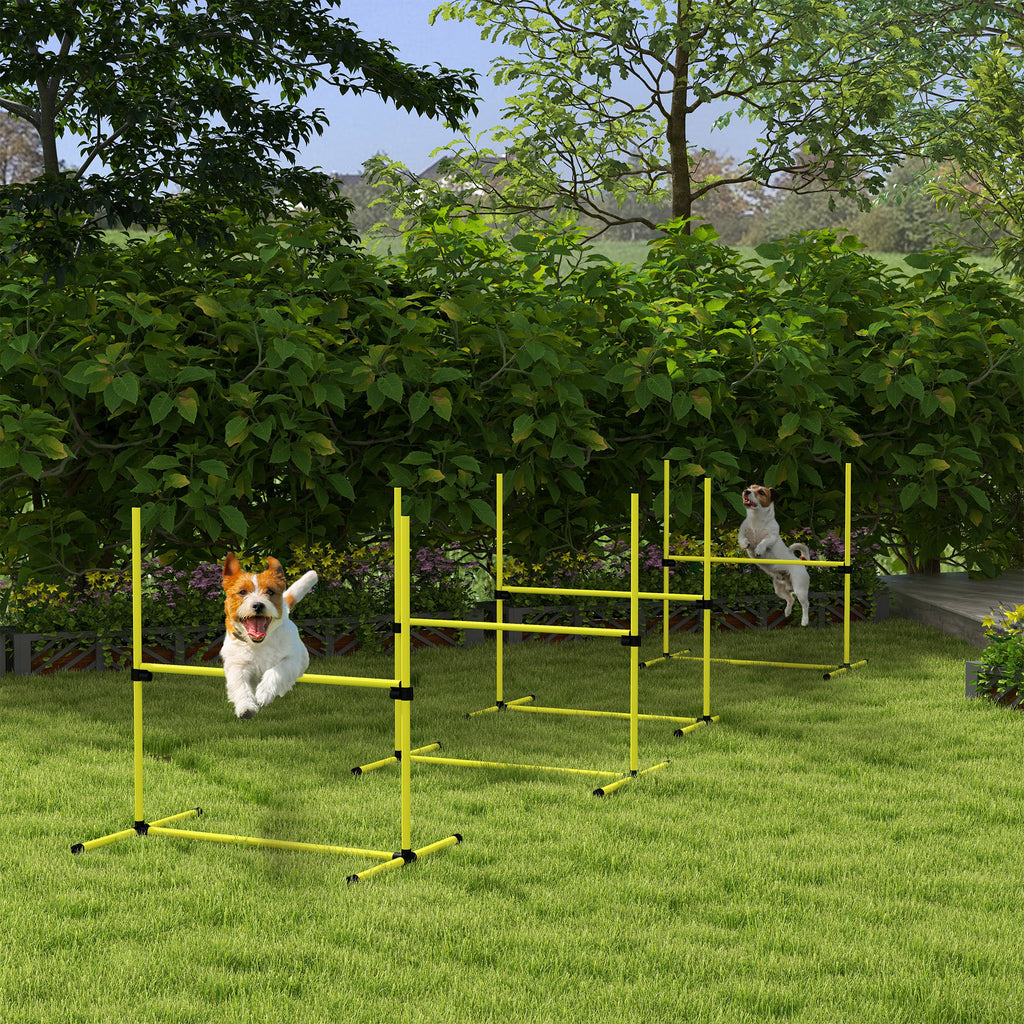 Hunde Agility Set, 4-teilig
