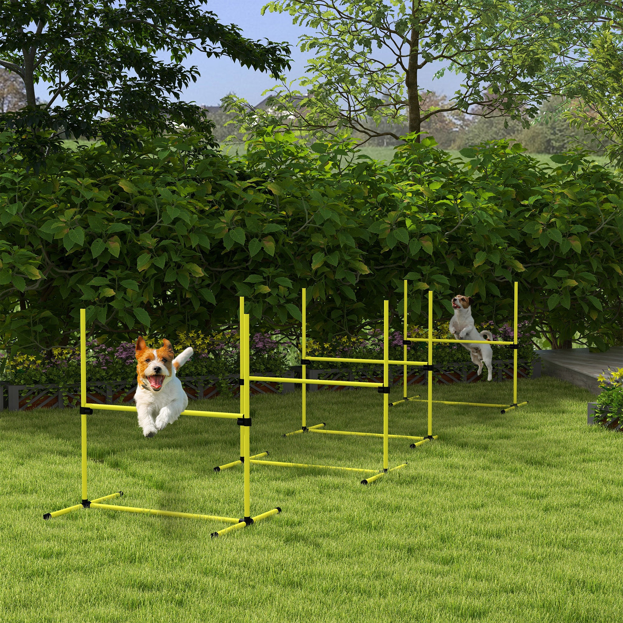 Hunde Agility Set, 4-teilig